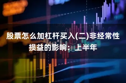 股票怎么加杠杆买入(二)非经常性损益的影响：上半年