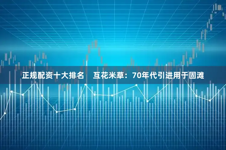 正规配资十大排名    互花米草：70年代引进用于固滩