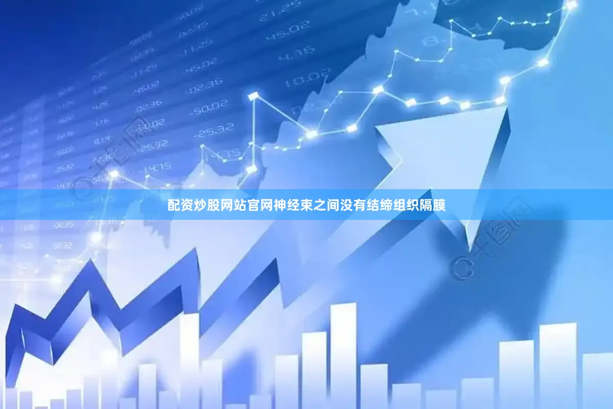 配资炒股网站官网神经束之间没有结缔组织隔膜